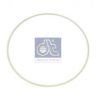 DT 2.10133 O-Ring, cylinder sleeve